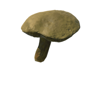 Fungus14