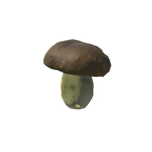 Fungus16