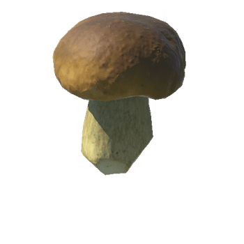 Fungus18