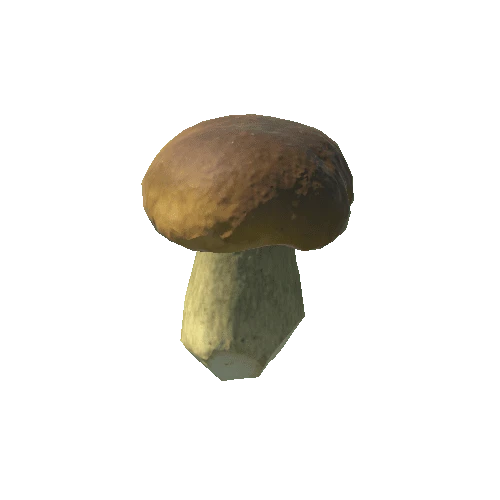 Fungus18