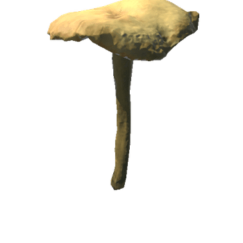 Fungus20