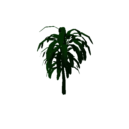 Palm1