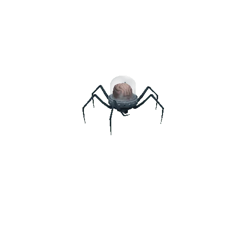 Spider_Brain