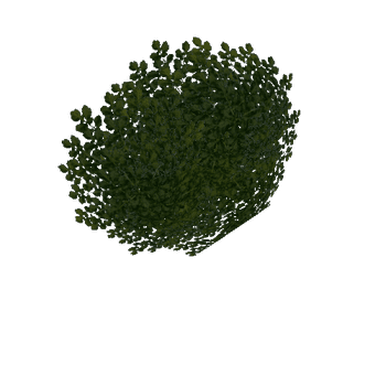 bush2