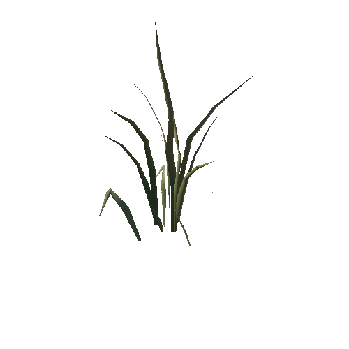 Grass_Small_A