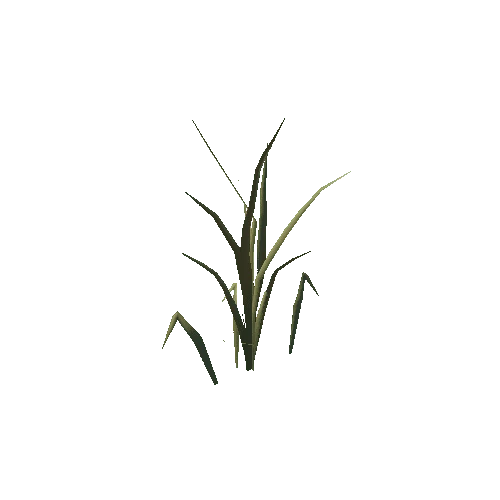 Grass_Small_B