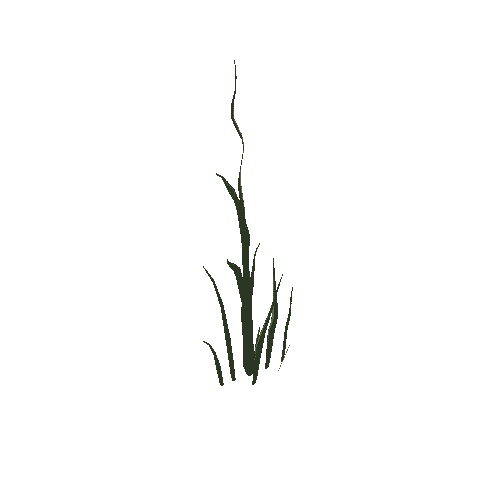 Grass_Tall_A