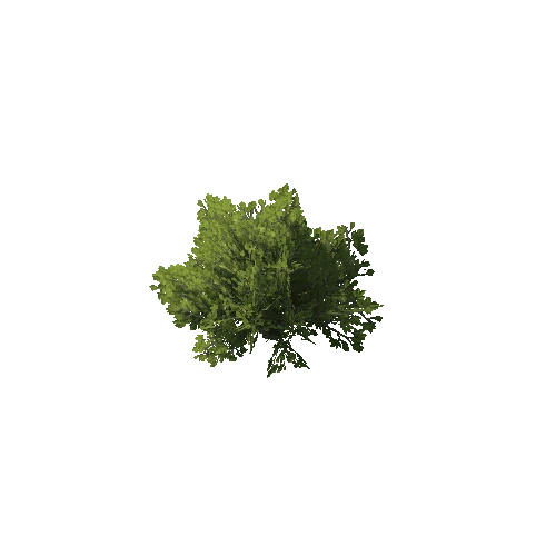 TreeCreator_Bush_A