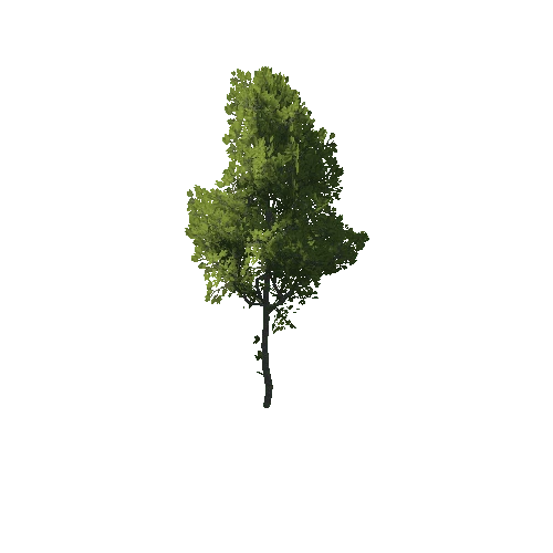 TreeCreator_Small_A