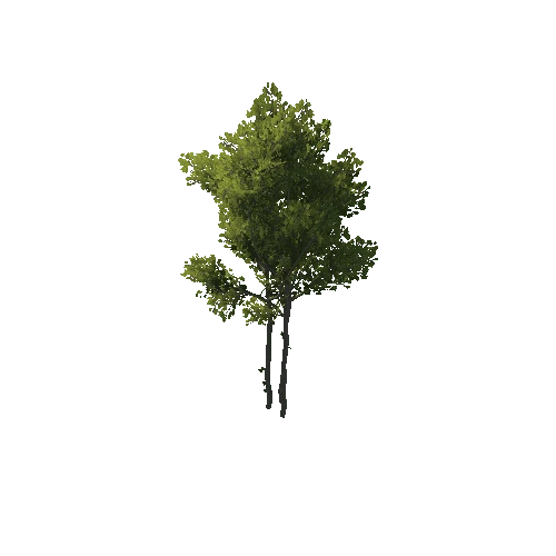 TreeCreator_Small_B