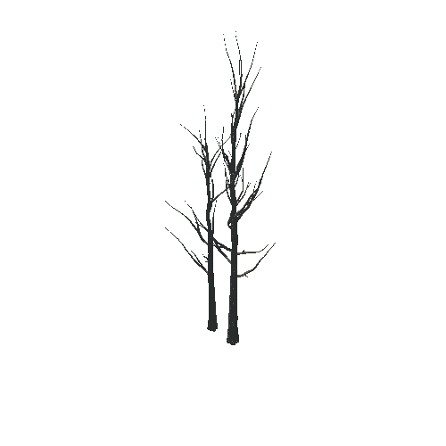 TreeCreator_Tall_C_Dead