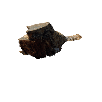 Stump07