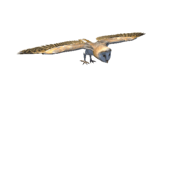 BarnOwlModelNoFurTwoLODsold