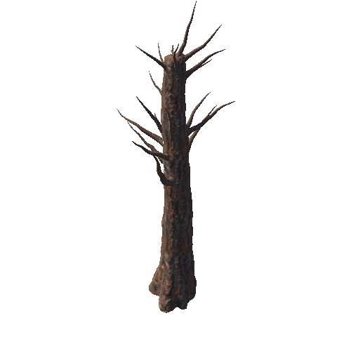 Tree5_1