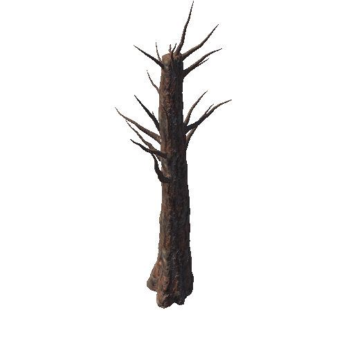 Tree5_1_1