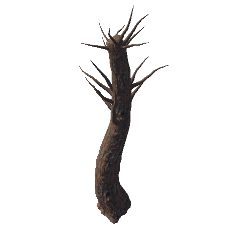 Tree5_2_1