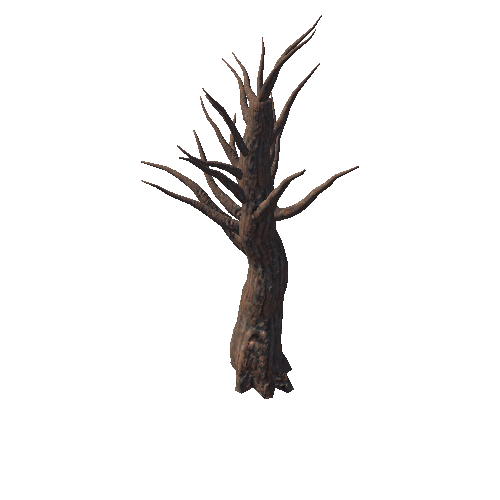 Tree5_4_1