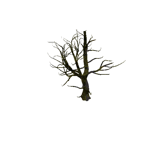 Tree6_2_1