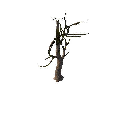 Tree6_3