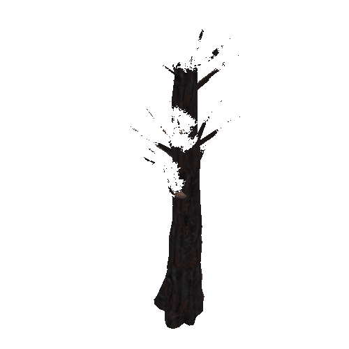 tree5_1_afsTREE_xao_xlprl_LOD1