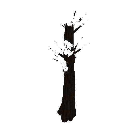 tree5_1_afsTREE_xao_xlprl_LOD1_1