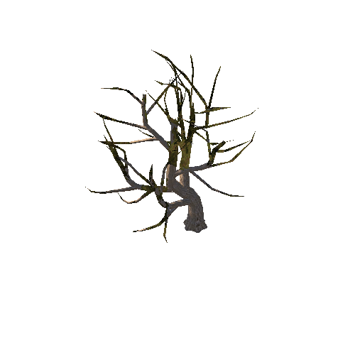 tree6_1_afsTREE_xao_xlprl_LOD1