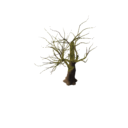 tree6_4_afsTREE_xao_xlprl