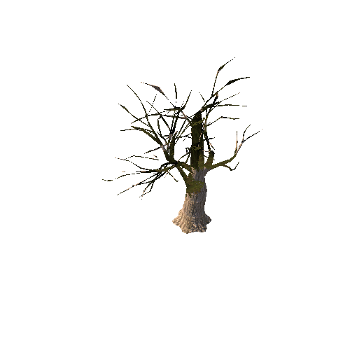 tree6_4_afsTREE_xlprl_LOD1