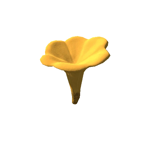 LFP_Pre_Chanterelle_LOD_2048