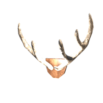 Antlers_2