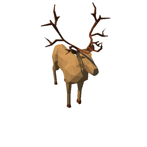 Reindeer