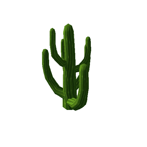 Cactus01