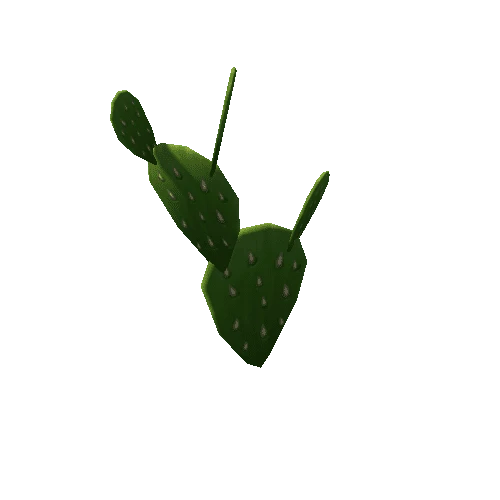 Cactus02