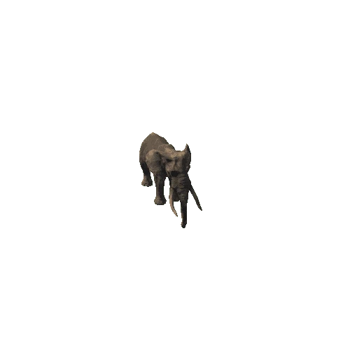 elephant_ii_fv_ip_HP_m05