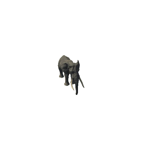 elephant_ii_fv_ip_SHP_m03