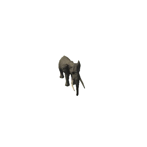 elephant_ii_fv_ip_SLP_m01