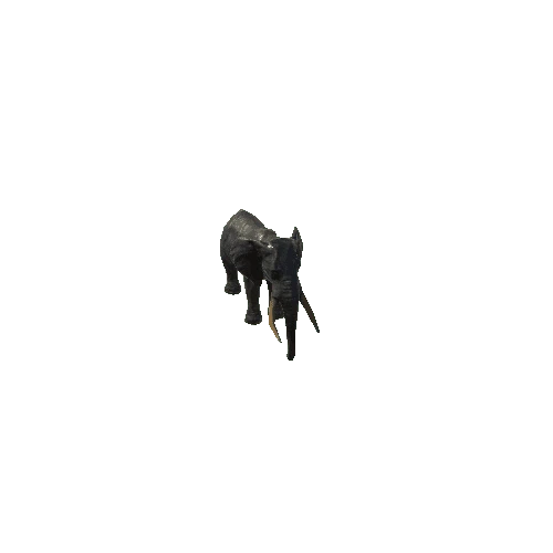 elephant_ii_fv_ip_SLP_m04