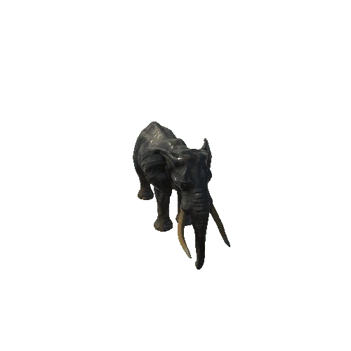 elephant_ii_fv_rm_SHP_m04