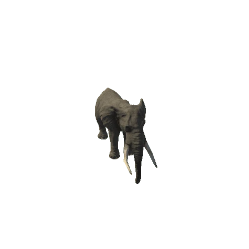 elephant_ii_fv_rm_SLP_m01