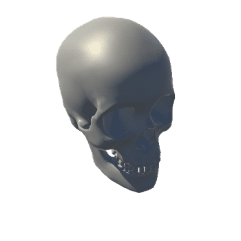 Skull_L2