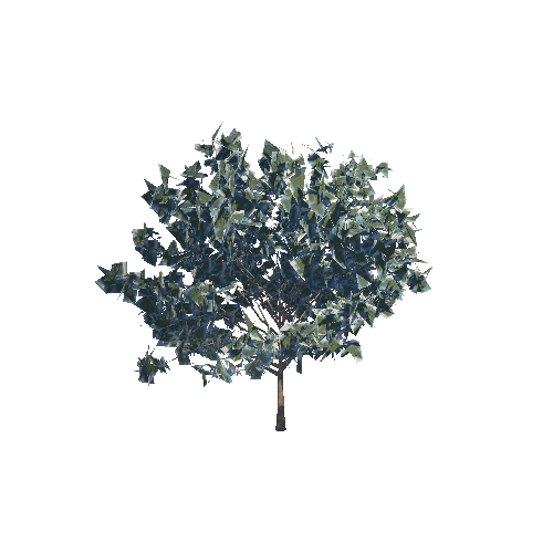 cP_Tree02