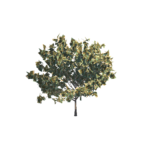cP_Tree02_Var01