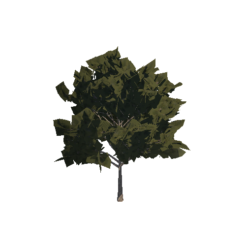 cP_Tree03