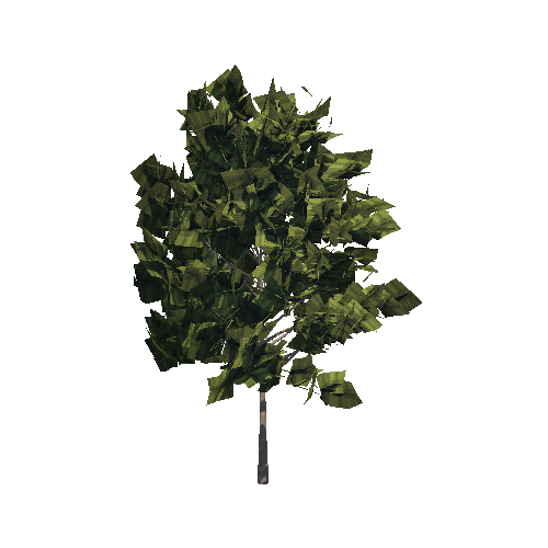 cP_Tree04