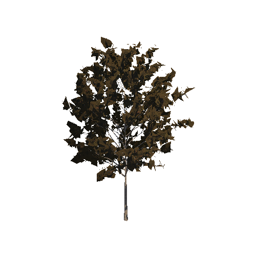 cP_Tree06_Var02