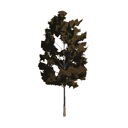 cP_Tree07_Var02