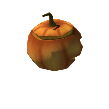 pumpkin_zug_02