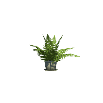Plant_1