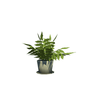 Plant_2