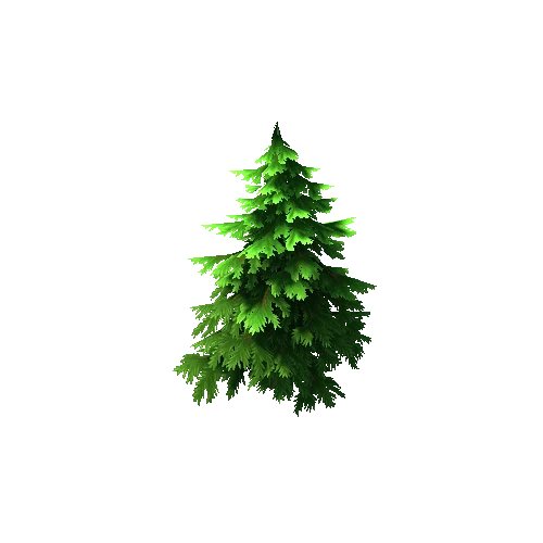 Pine_tree